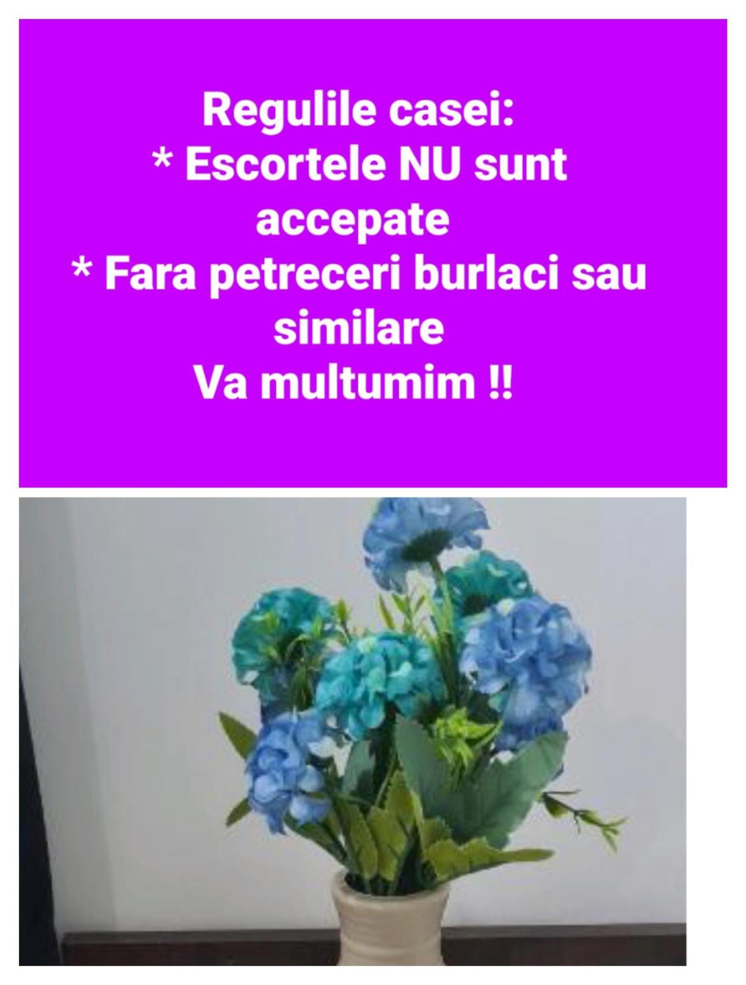 Seby Studio Constanţa Esterno foto